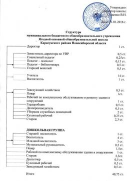 Структура и органы управления МБОУ Ягодной ООШ Карасукского район Новосибирской области